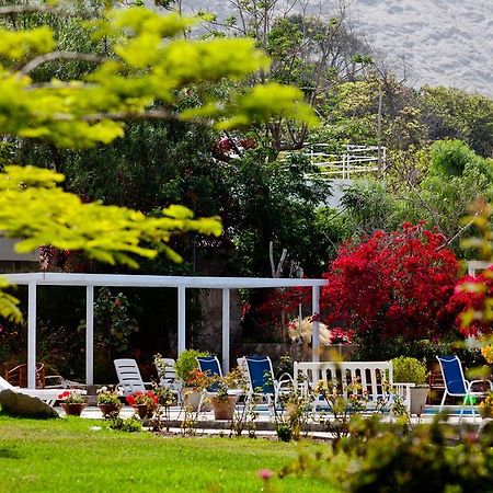 Hotel Los Palomos Lunahuaná Kültér fotó