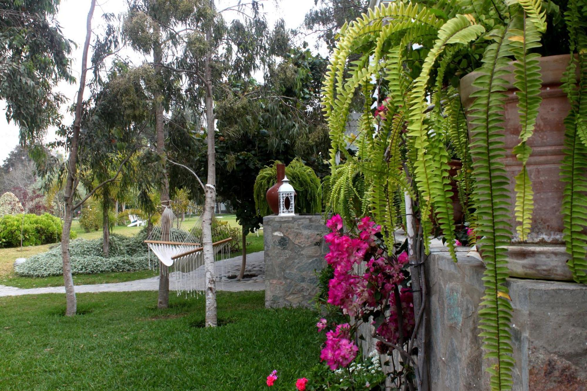 Hotel Los Palomos Lunahuaná Kültér fotó