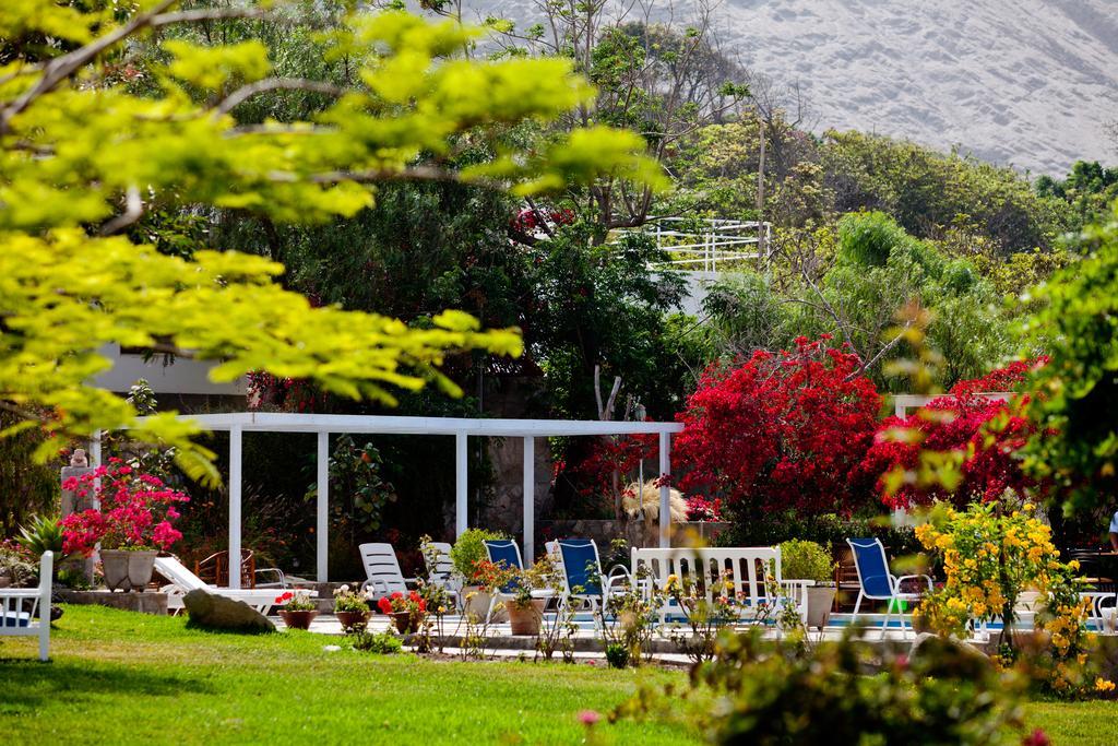 Hotel Los Palomos Lunahuaná Kültér fotó