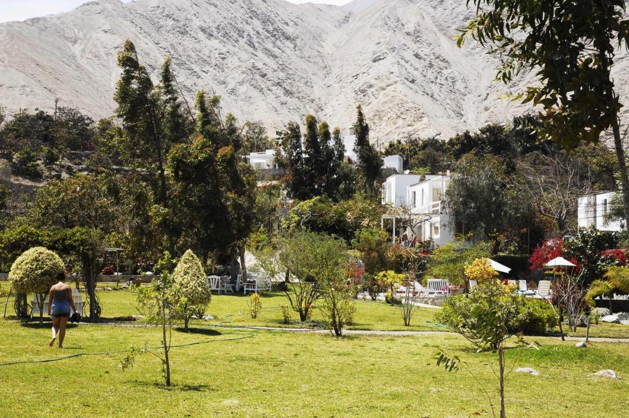 Hotel Los Palomos Lunahuaná Kültér fotó